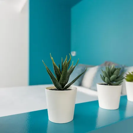 Athens Color Cube Apartment Room photo